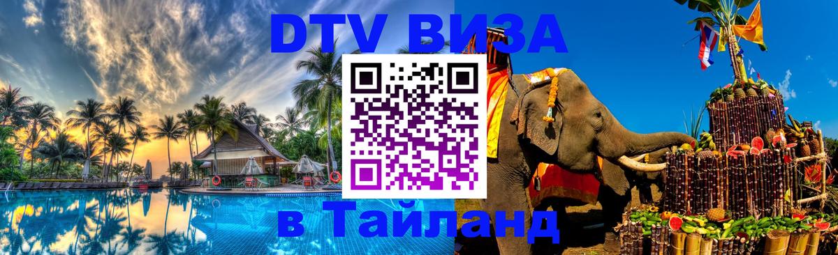 Сколько стоит DTV виза — актуальные цены, оформление даже без документов - Северодвинск  08.01.2026 